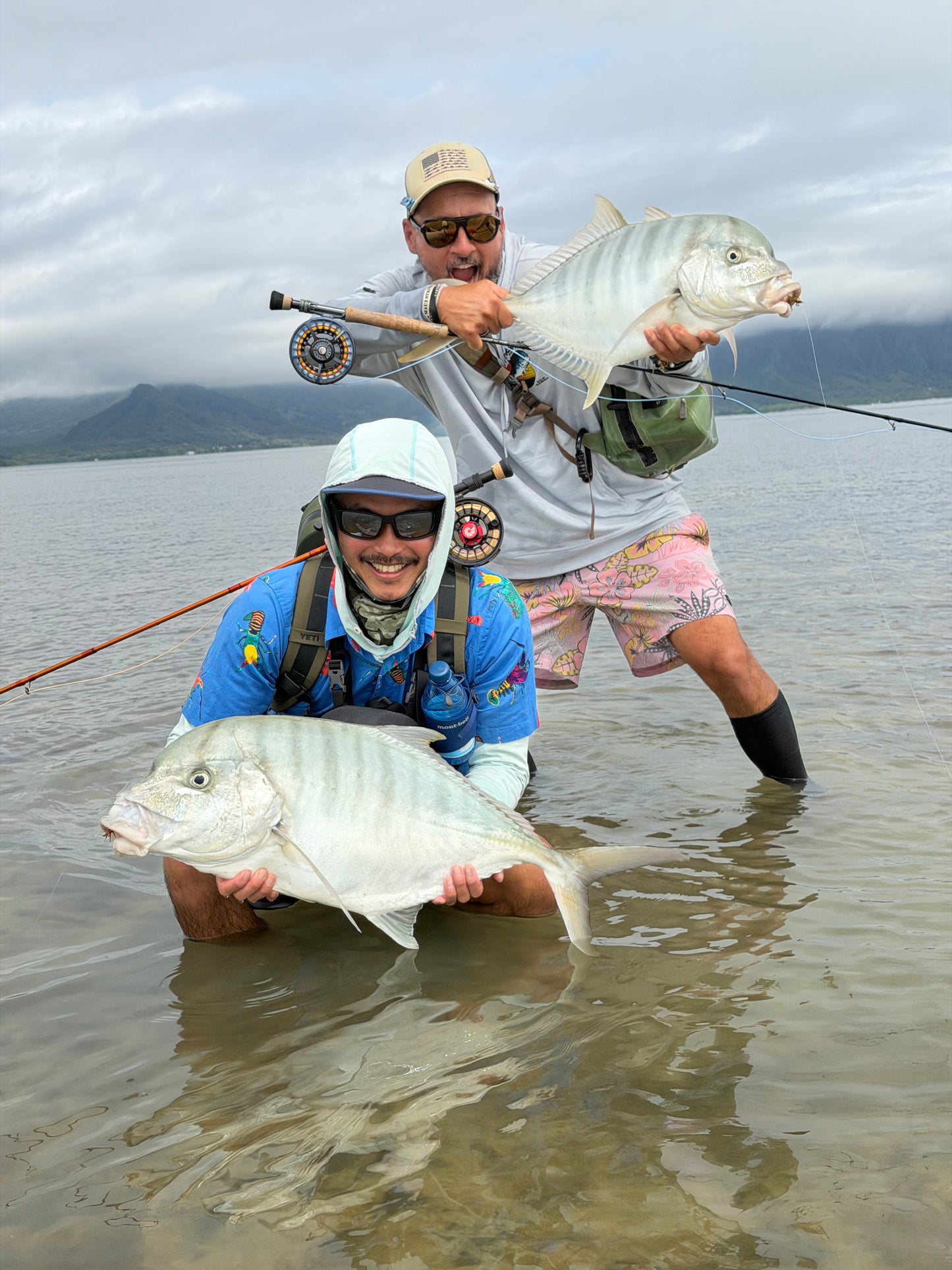 Kaneohe Bay Creeper