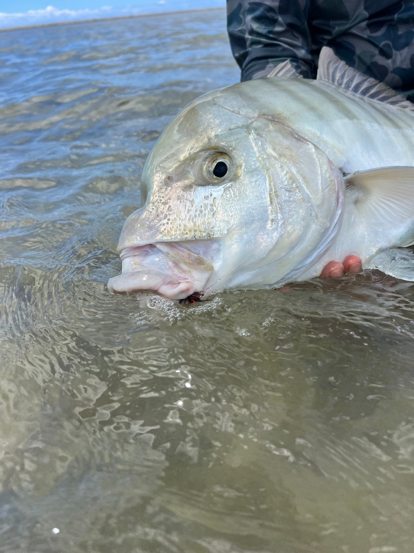 Kurupt Hawaiian Bonefish Flies
