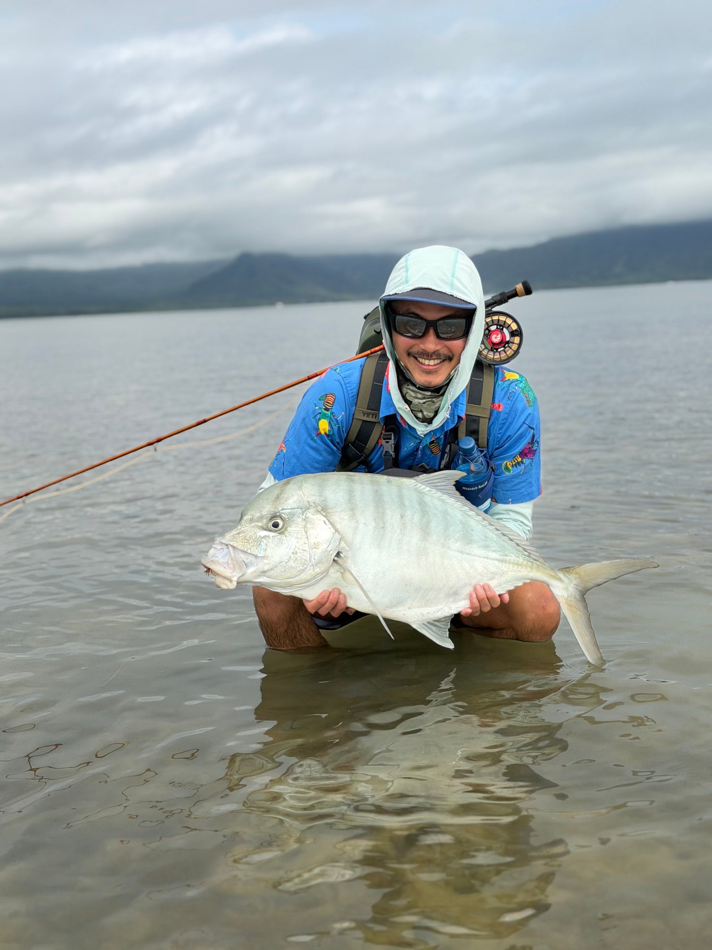 Kaneohe Bay Creeper