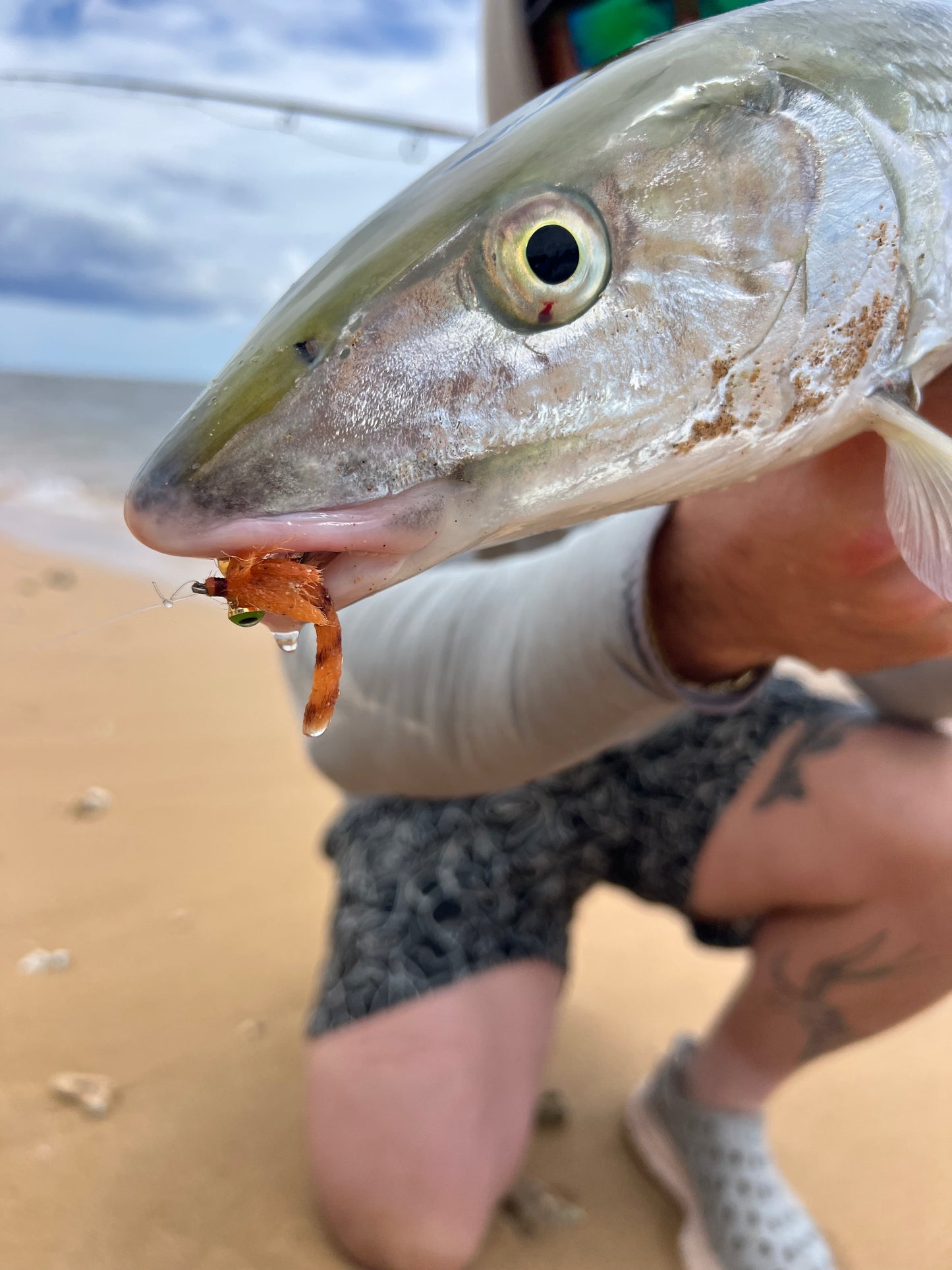 Hawaiian Fly Box Bonefish Flies